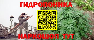 амф Коломна