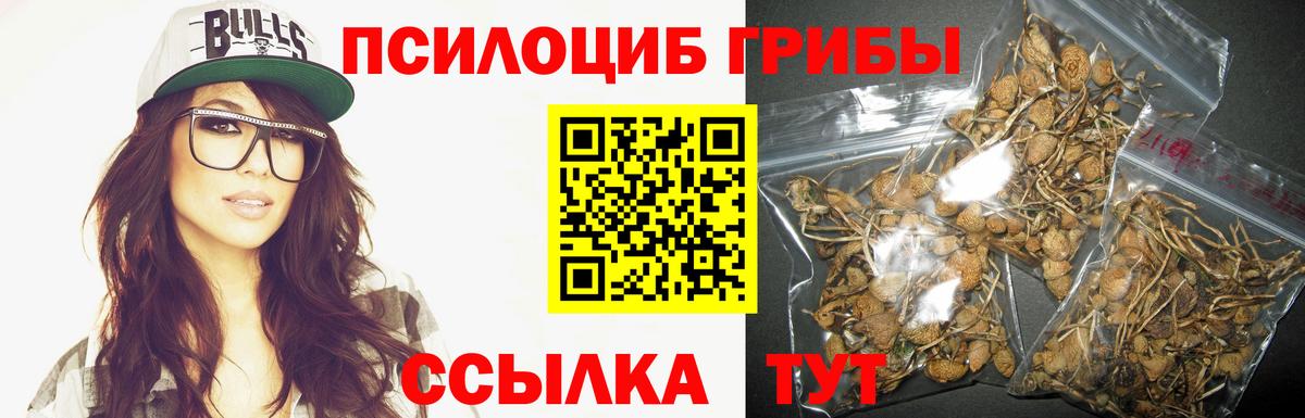 Долгопрудный  цены наркотик  Вход с VPN  Галлюциногенные грибы GOLDEN TEACHER 